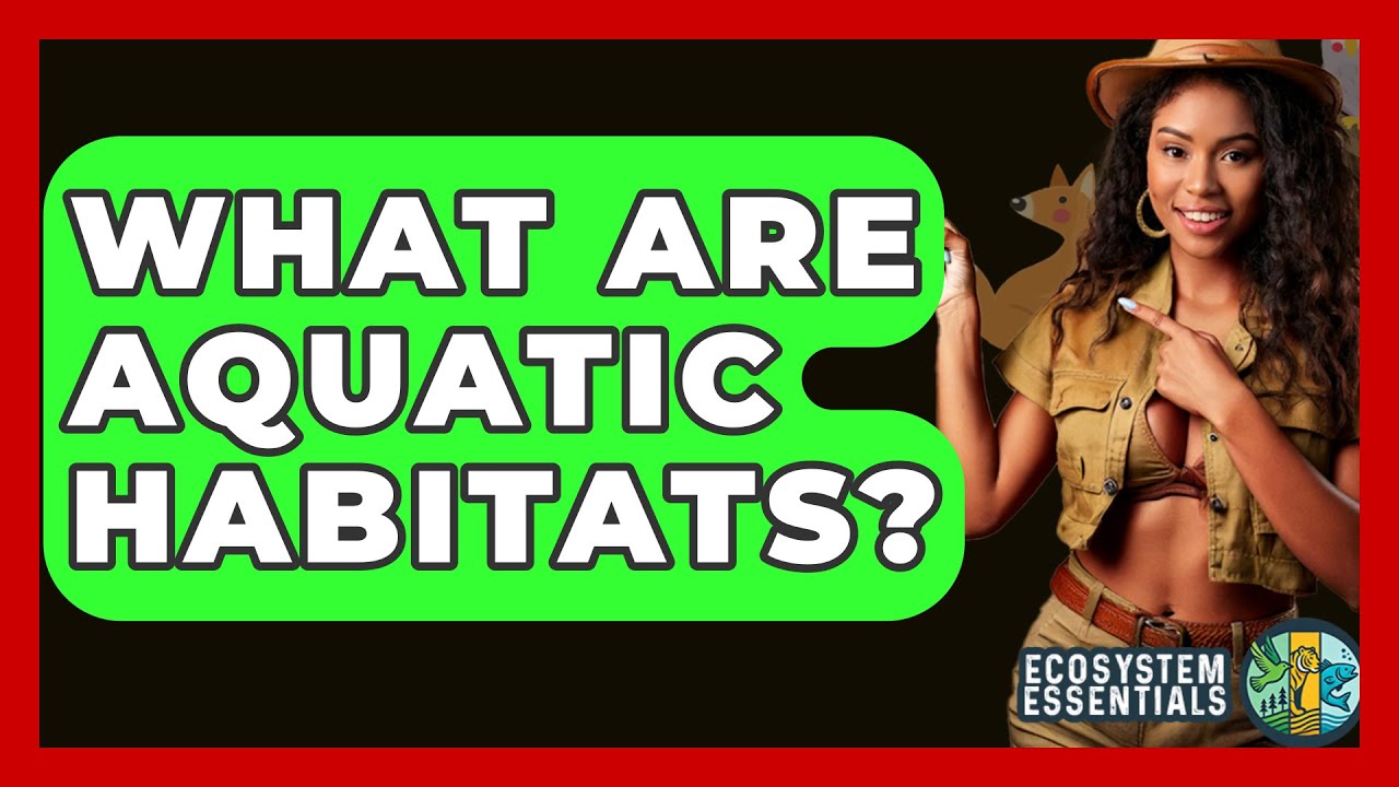 Что такое водные среды обитания? — Основы экосистем