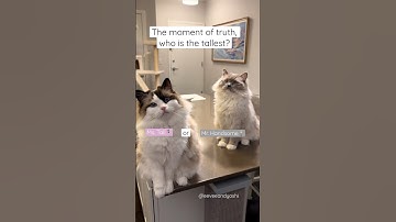 And the tallest baby award goes to… 🏆