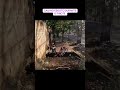 🚨 DEU RUIM! PINOTE TERMINA EM ESGOTO EM SÃO PAULO 🚨 #fuga