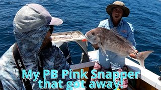 Huge Pink Snapper I Soft Plastic I WA