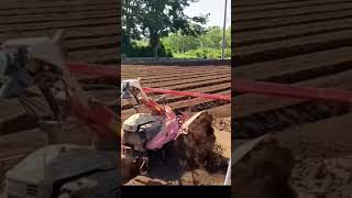 Modern Agriculture plough machine #video #shorts