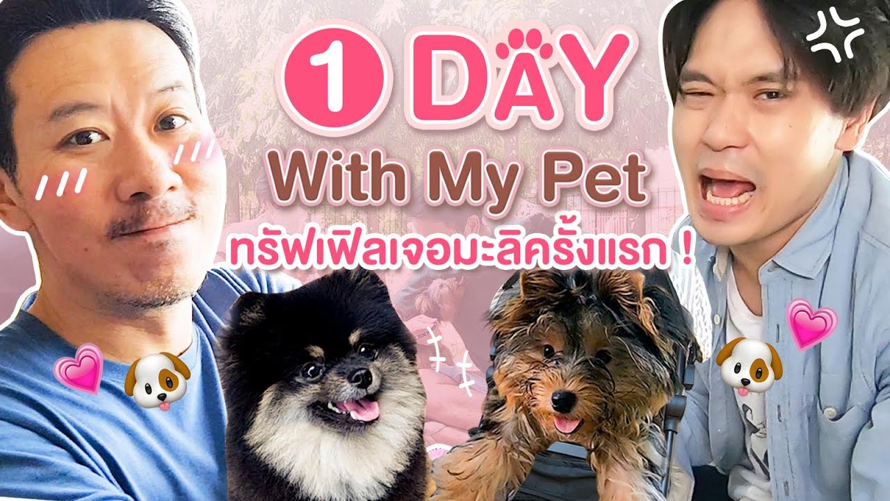 1 Day With My Pet | เทพลีลา