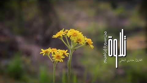 مشاري البغلي ..تلاوه من سوره ابراهيم