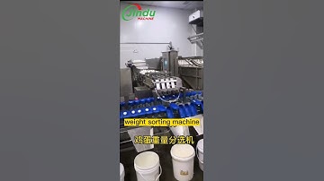 This Machine Sorts Eggs By Weight In Seconds