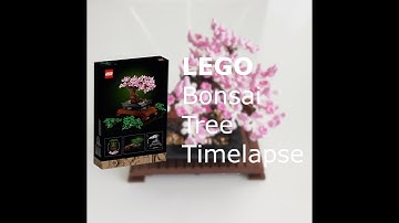 LEGO Bonsai Tree 10281 |  Timelapse build