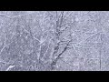 Ева Польна - Снег | 2020