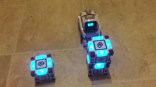 Cozmo wants to stack the bricks