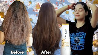 Matrix Biolage Shampoo for fizzy Hair Review