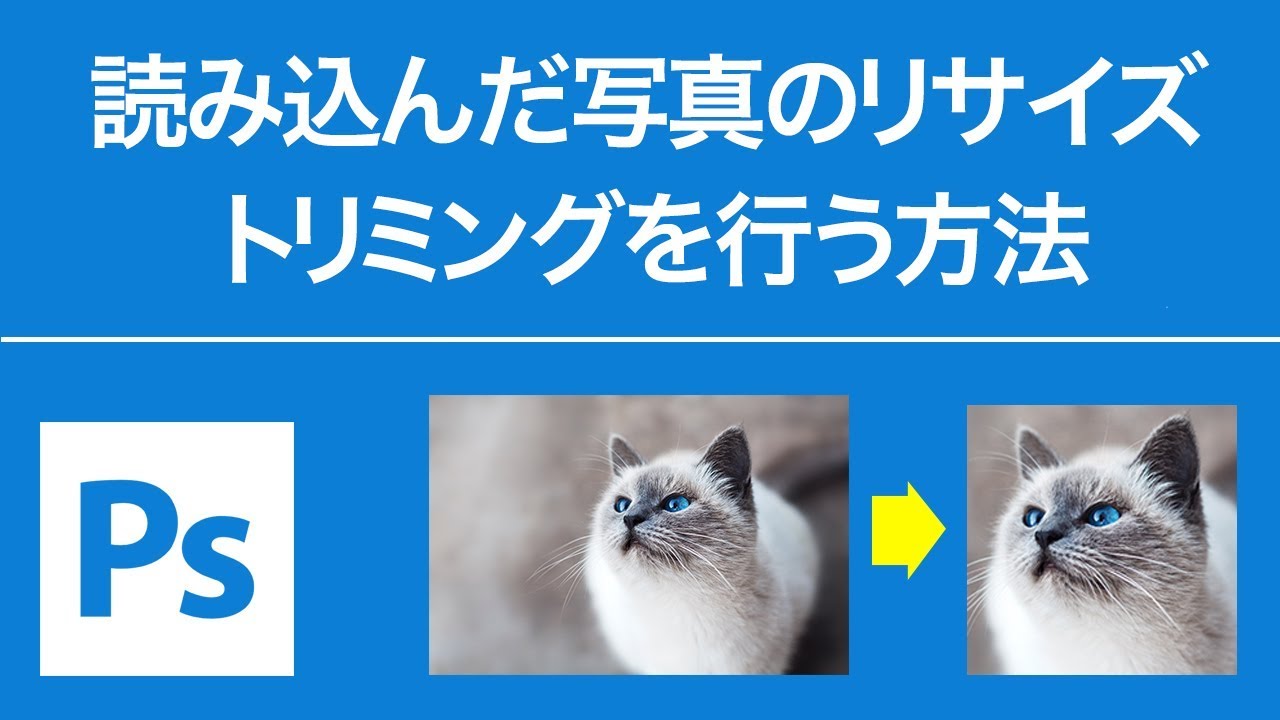 Photoshop 写真のリサイズ トリミング方法 Youtube
