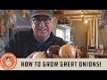 How to Grow Great Onions! Pt.2