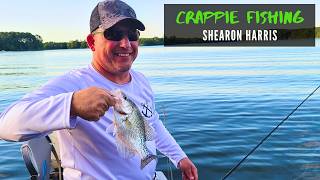 We Ran Into a HUGE School of Crappie While Bass Fishing - Shearon Harris Lake