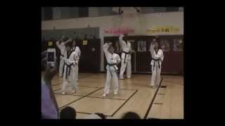 Eagle TaeKwonDo Demo, 2011