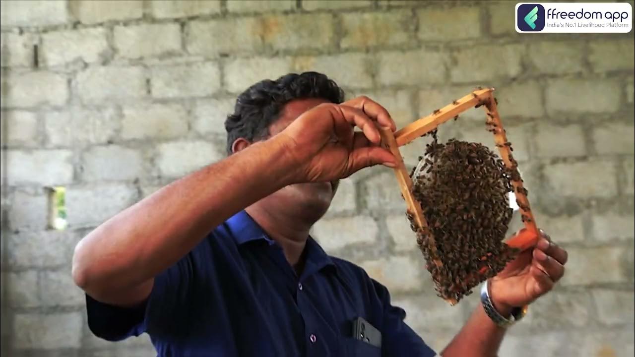 honey-bee-farming-course-trailer-in-hindi-ffreedom-app-youtube
