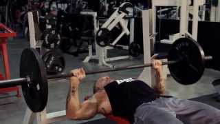 Bench Press - The Proper Lift - Bpi Sports