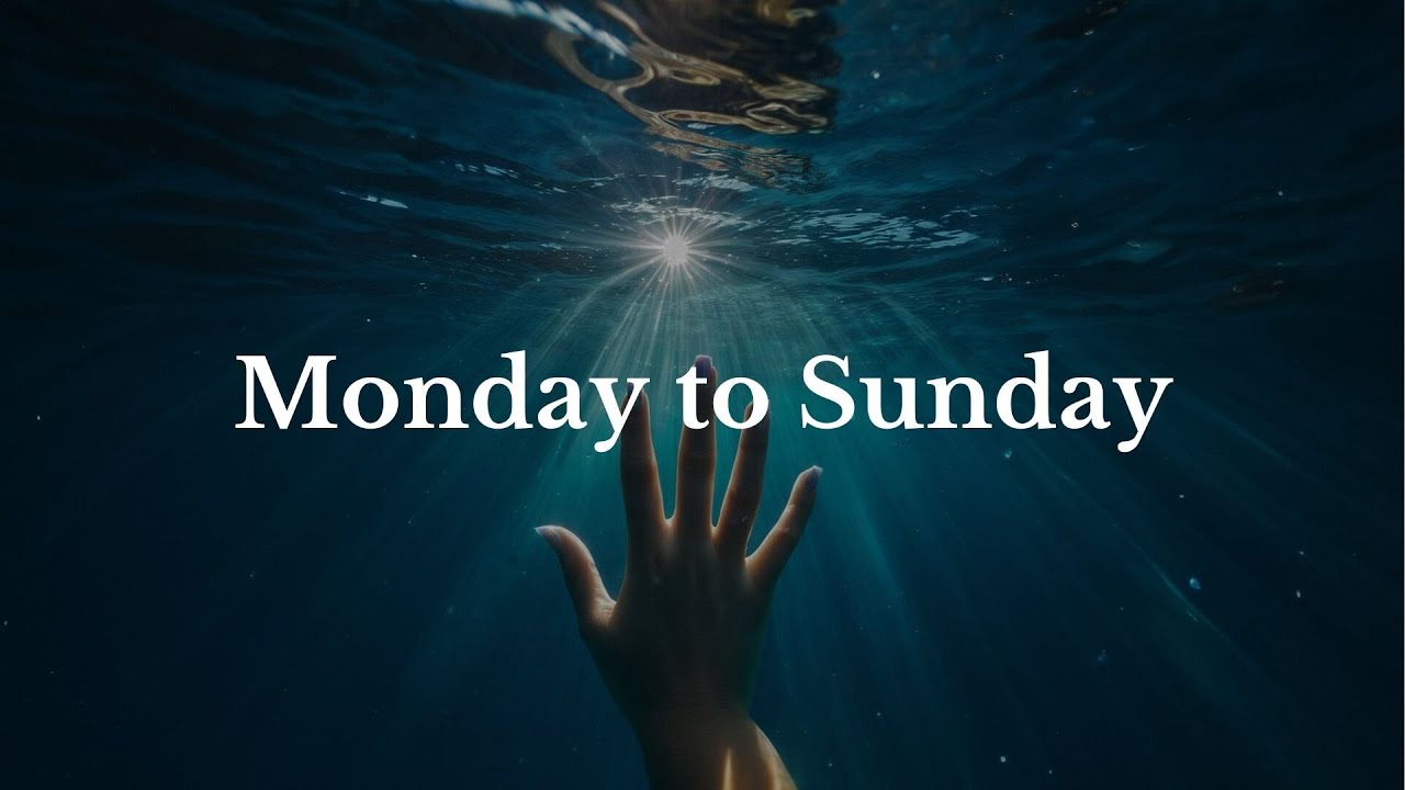 Sabee Monday To Sunday lyrics Video YouTube Sabee Monday To Sunday lyrics Video YouTube
