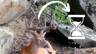 BIG Buck Beds Down in Front of My Trail Camera for HOW LONG!!