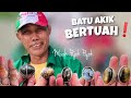 Karna habis diborong  kini mbah pyokpyok keluarkan koleksinya yang super istimewa