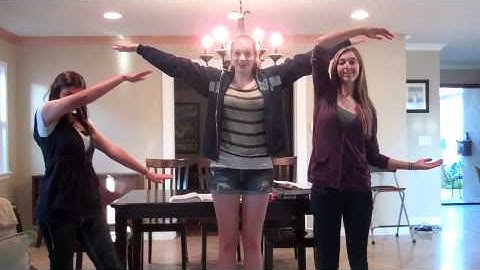 AP Calc Integral Music Video