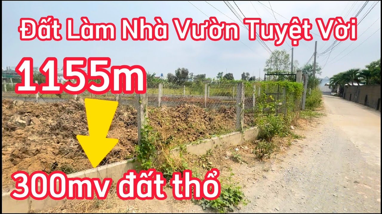 🔴 Chủ Bán Gấp Đất Mặt Tiền Làm Nhà Vườn Tuyệt Vời / @baonhadatcangiuoc  / đất cần giuộc giá rẻ .