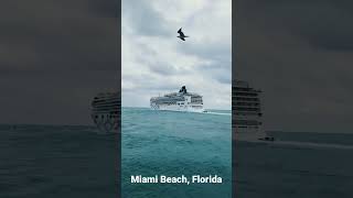 MIAMI BEACH - cruise ships departing from Miami 2023 #cruiseship