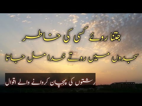 Best Urdu Quotes || Heart Touching Urdu Quotes || Urdu Hindi Quotes