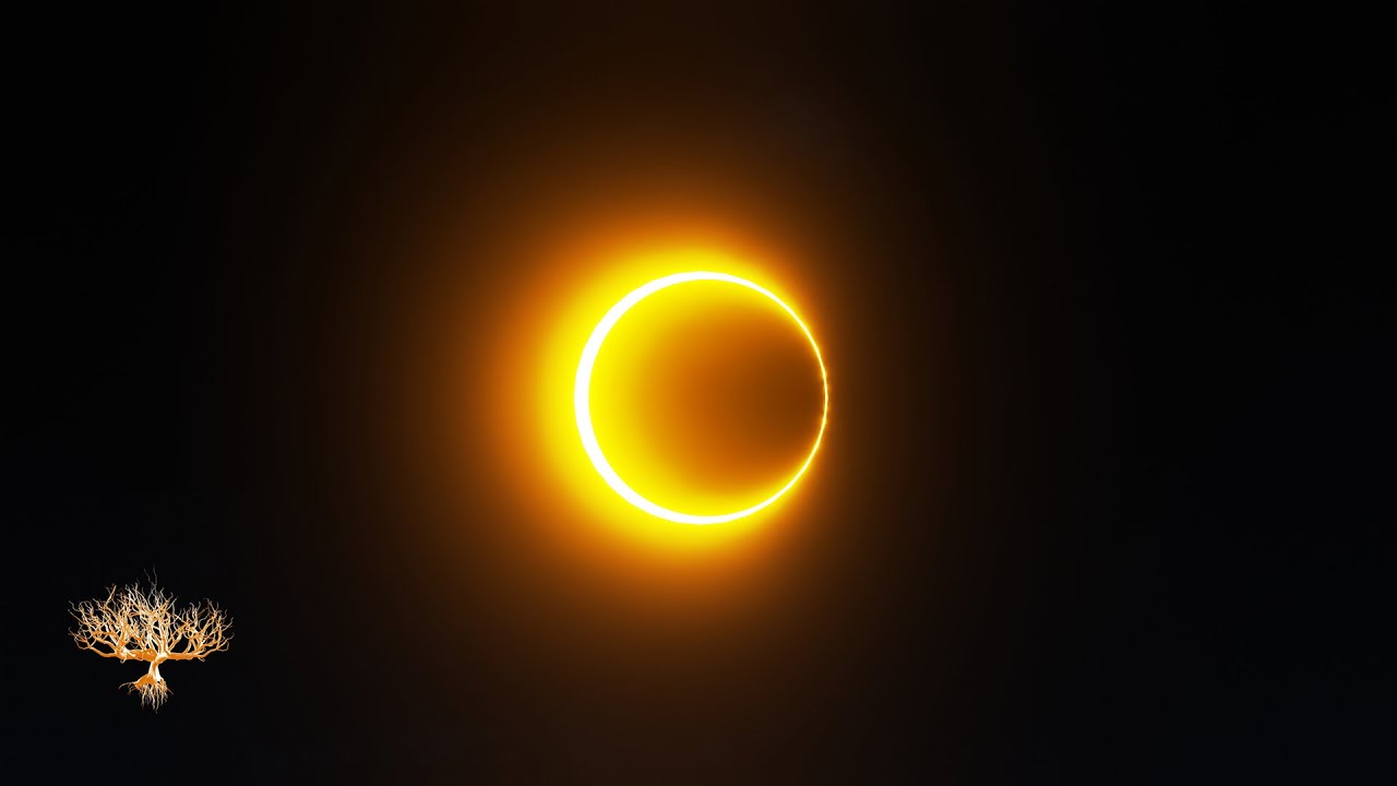 Total Solar Eclipse | Free video stock - TreePixels Animation - YouTube