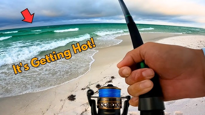 Surf Fishing is HEATING UP! Whiting, Pompano & More 
