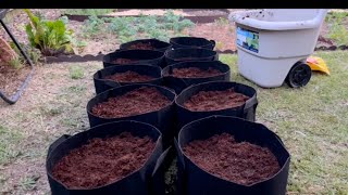 Growing in containers- setting up grow bags by Gardens and Grace 100 views 11 months ago 10 minutes, 22 seconds