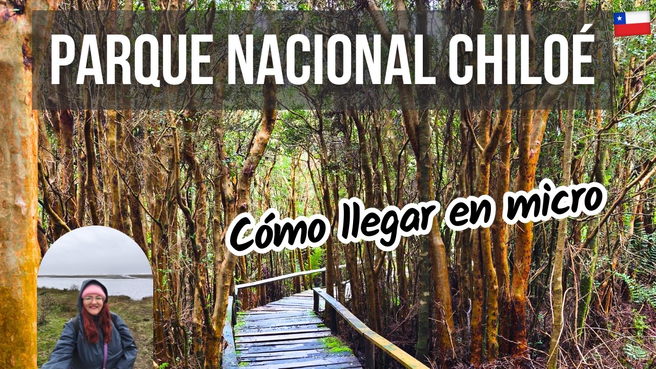 Cómo llegar en micro y qué hacer en el PARQUE NACIONAL CHILOÉ 🌳 | Precios 2025