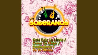 Video thumbnail of "Los Soberanos - Gata Bajo la Lluvia / Como Tu Mujer / Costumbres / Ya Te Olvide"