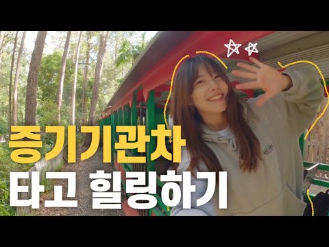 할 거 없는 호주 시골에서 다양한 액티비티 즐기기 ( 가족여행추천! 미드노스코스트여행- 팀버타운)