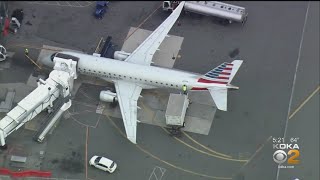 Plane En Route To Pittsburgh Strikes Bird, Returns To LaGuardia Airport