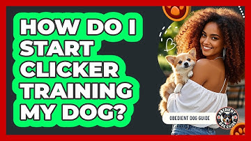 How Do I Start Clicker Training My Dog?