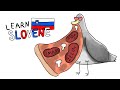 Learn Slovene: verbs and possessive pronouns