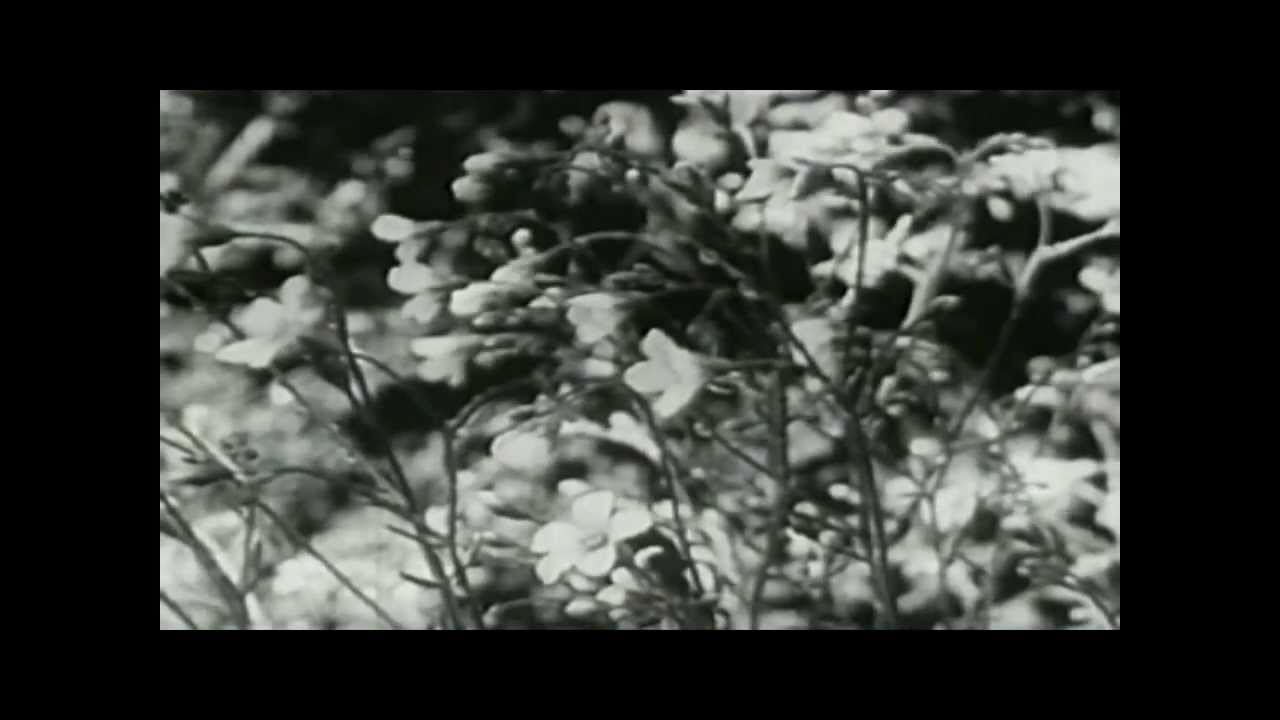 D33J - Drowning Pools