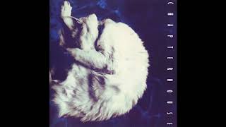Chapterhouse - Breather
