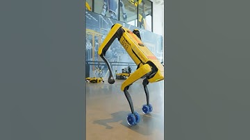 Boston Dynamics Robot Dog Is Replacing Workers #Robot #Robotics #BostonDynamics #RobotJob #AI