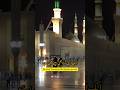 ایک ایسی تمنا بھی سینے میں ہے Naatsharif Islamicfigure Naat Shorts Newnaat Islamicprophet 