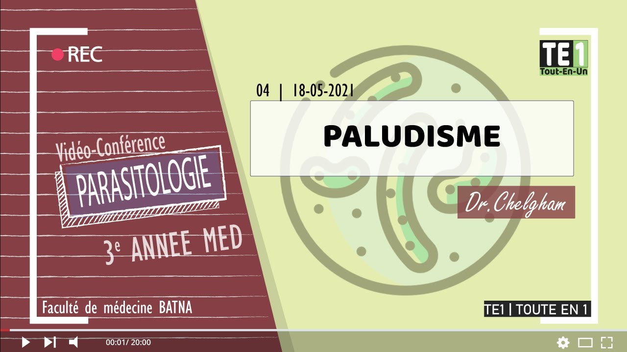 04 | Paludisme