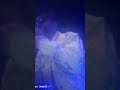 FARHAN SAEED SINGER #youtubeshortandvideo