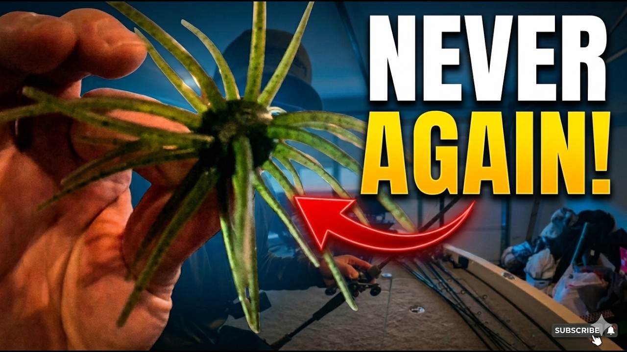 Never Lose a Coike or Urchin Style Bait Again!