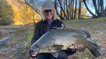 Clear water Murray cod fishing | Big Cod, Small River 2021