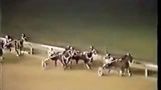 1984 Scioto Downs COLT FORTYSIX Jug Preview $40,150 Chris Boring
