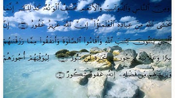 سورة فاطر * عبد الله خياط