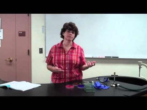 Video Seletive and Differential media - youtube