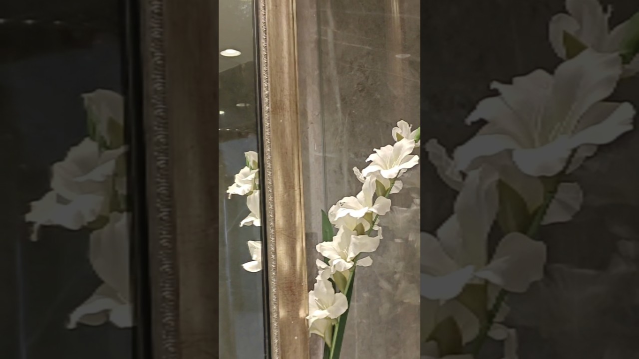 Vanity counter in 5 Star hotel ?? 