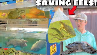 SAVING LIVE TURTLES and EELS From FOREIGN FOOD MARKET! screenshot 2