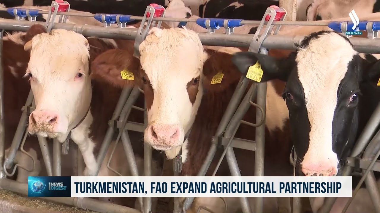 Turkmenistan, FAO expand agricultural partnership
