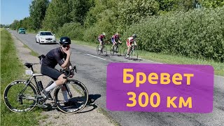 видео: Бревет 300 км - майский, рапсовый, солнечный☀️ картинка: Бревет 300 км - майский, рапсовый, солнечный☀️