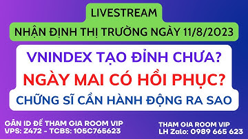 Chứng khoán hôm nay | Nhận định thị trường: VNINDEX TẠO ĐỈNH CHƯA, CHỨNG SĨ CẦN HÀNH ĐỘNG RA SAO